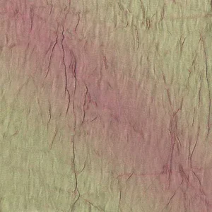 Crush (Polyester Backed) Napkin Collection Watermelon