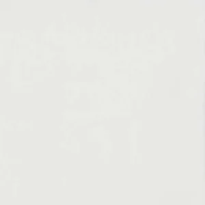 Satin Napkin Collection White