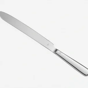 Stainless Cake Knife